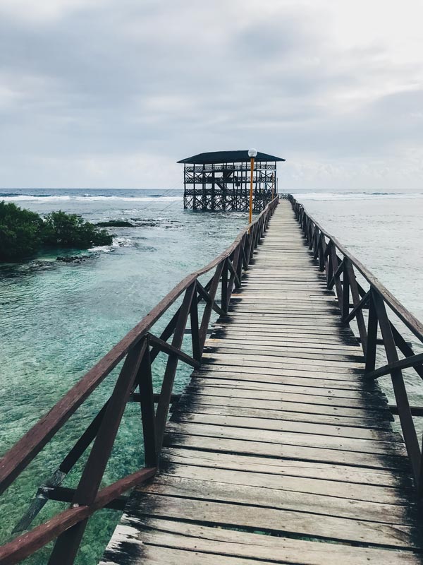 Cloud9 Cloud9 on Siargao