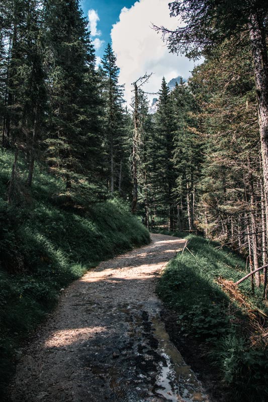 Start-der-Wanderung-zum-Sorapissee Waldwanderweg zum Sorapissee