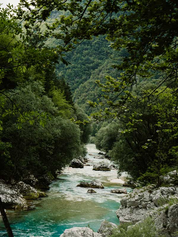 Soca_umgeben_von_Wald Soca umgeben von Wald