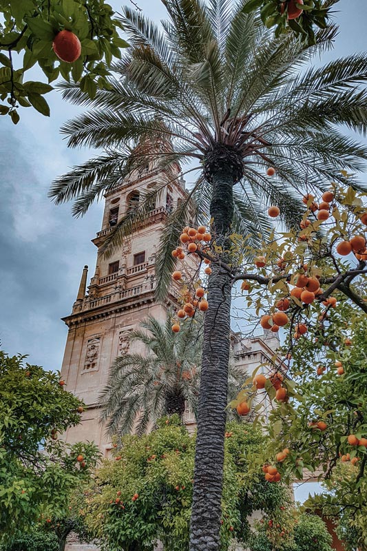 Cordoba