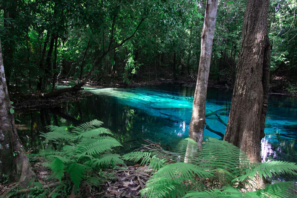Der-Blue-Pool-bei-Krabi