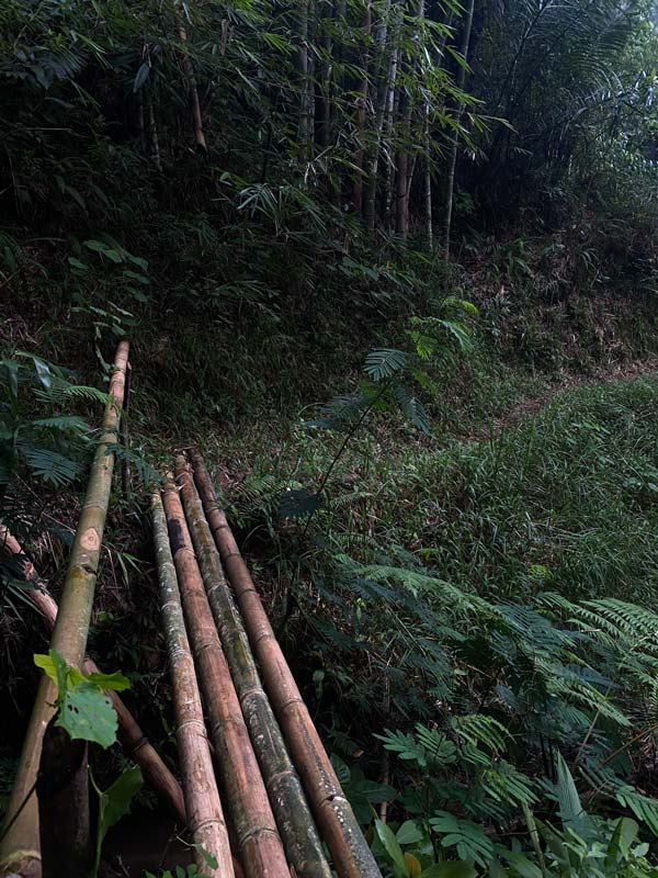 Der-Weg-zu-Herrendusche-führt-über-eine-schmale-Bambusbrücke