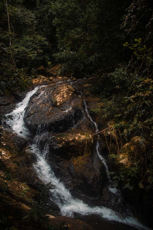 Über-Wurzeln-und-Steine-geht-es-den-Phaeng-Noi-Waterfall-hinauf