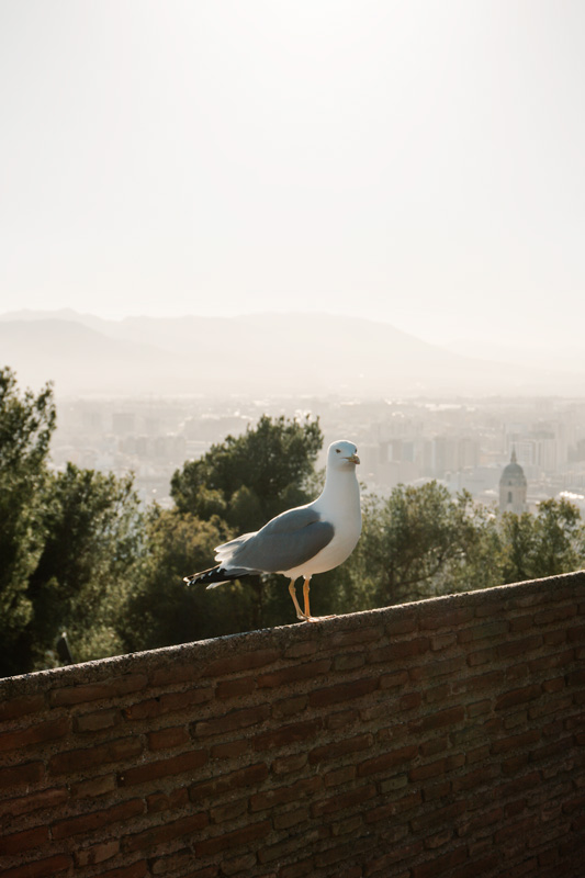 Andalusien_Aussicht