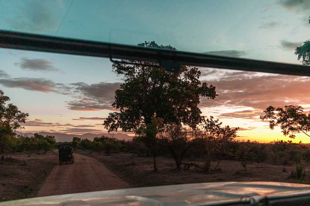 Ausblick-aus-dem-Safarijeep-in-den-frühen-Morgenstunden