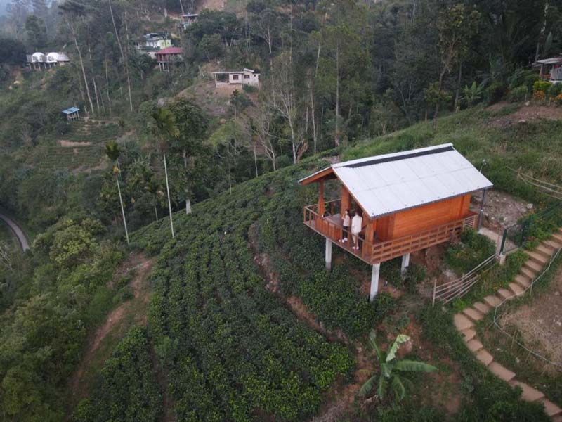 Green Nature Paradise