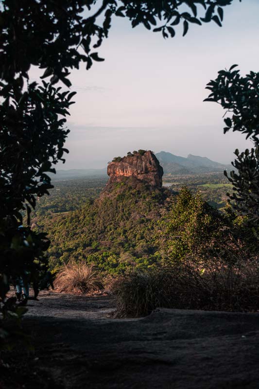 Hinter-den-Büschen-versteckt-liegt-Lion-Rock