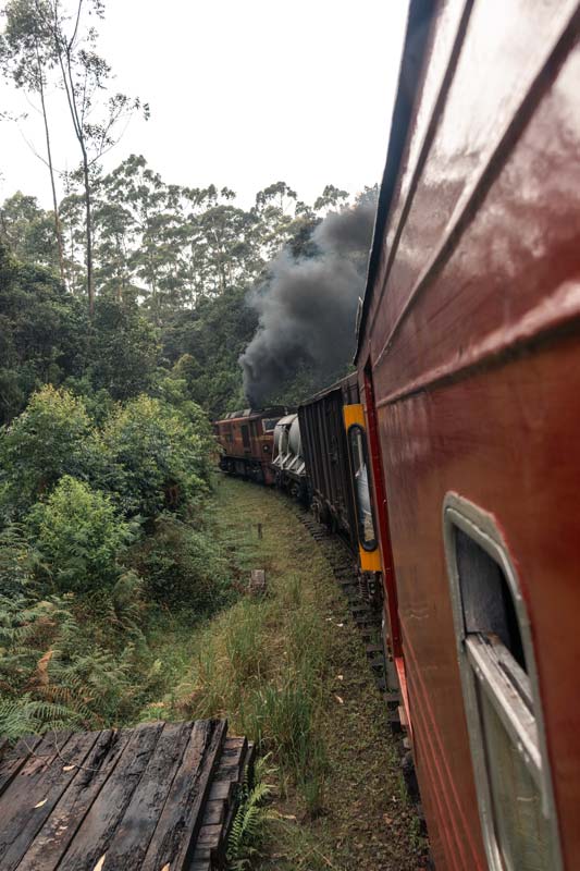 In-Sri-Lanka-werden-noch-Dampfloks-betrieben Die Dampflok fährt durch die üppige grüne Natur