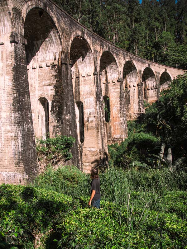 Ella, Sri Lanka: Die Must-Sees   besten Tipps für deinen Besuch