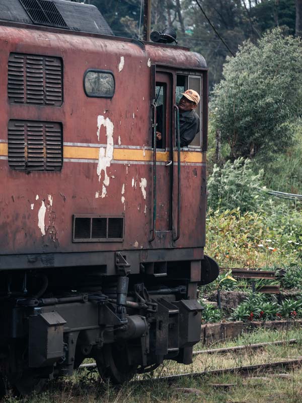 Sri Lanka Kosten 2026: Was kostet ein Urlaub? (mit echtem Budgetplan)