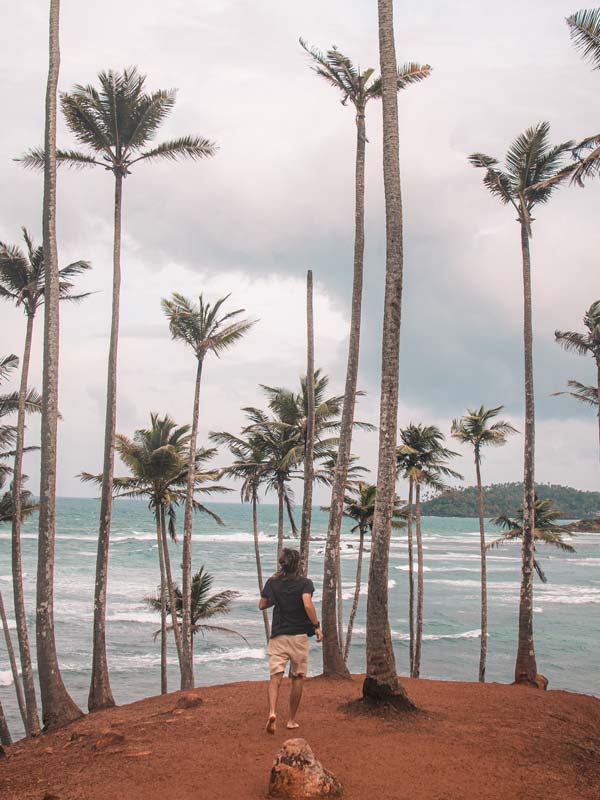 Mirissa, Sri Lanka: Tipps, Sehenswürdigkeiten   Reiseführer