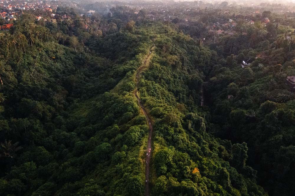 Der-Campuhan-Ridge-Walk-in-Ubud