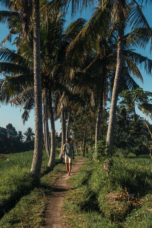 Die-Wege-rund-um-Ubud-sind-traumhaft