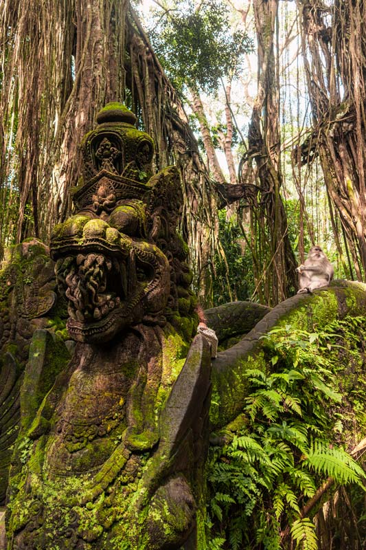 Ubud-Monkey-Forest-Bali