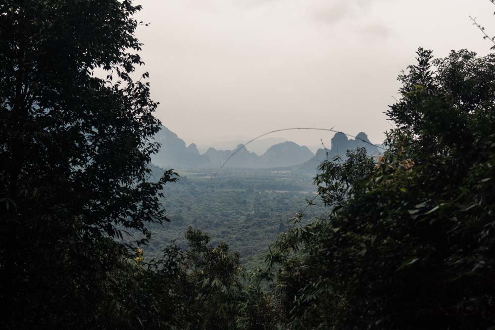 Ausblick-vom-botanischen-Garten-über-den-Nationalpark
