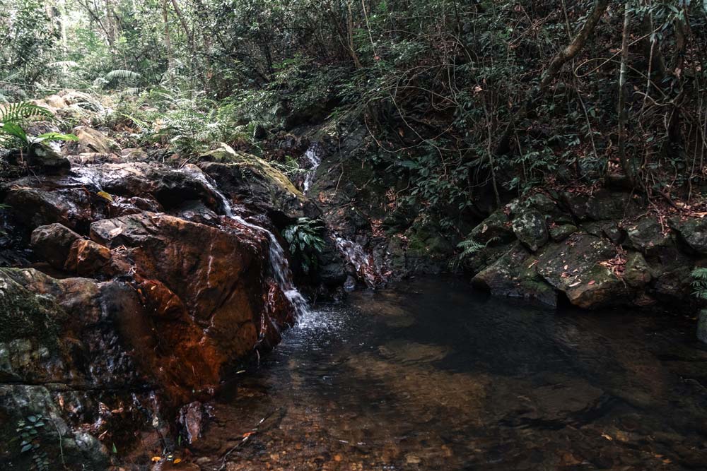 Kleiner-Wasserfall-im-botanische-Garten