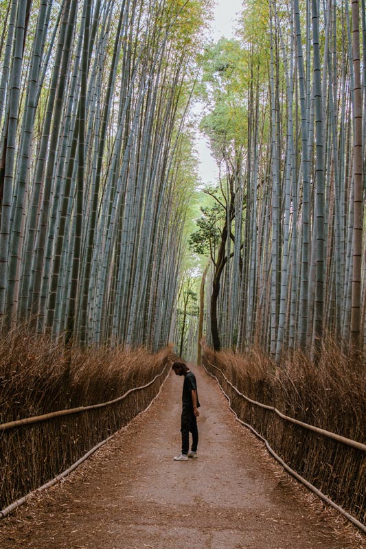 Bekannter-Ort-im-Arashiyama-Bambus-Wald