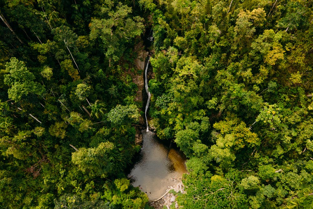 Der-Wasserfall-liegt-versteckt-im-Dschungel