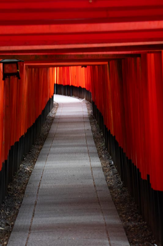 Durch-10000-Tore-geht-es-auf-den-Inari-hinauf