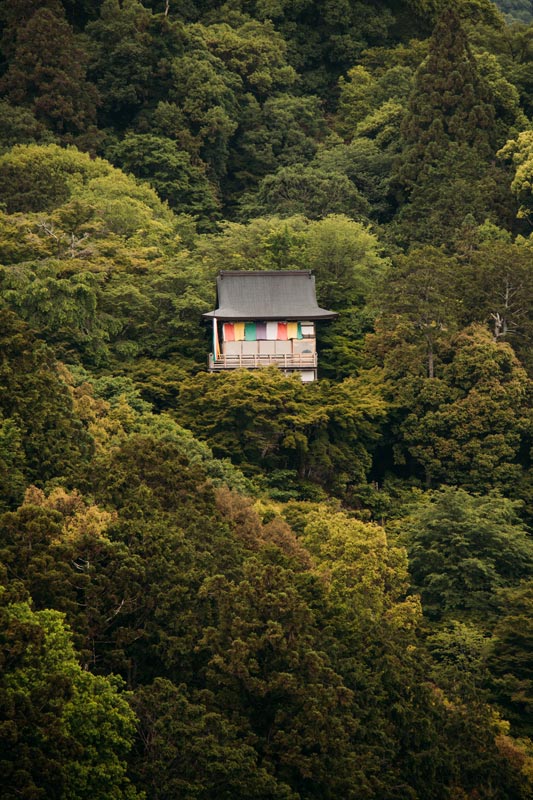 Ein-kleiner-Tempel-mitten-im-Wald
