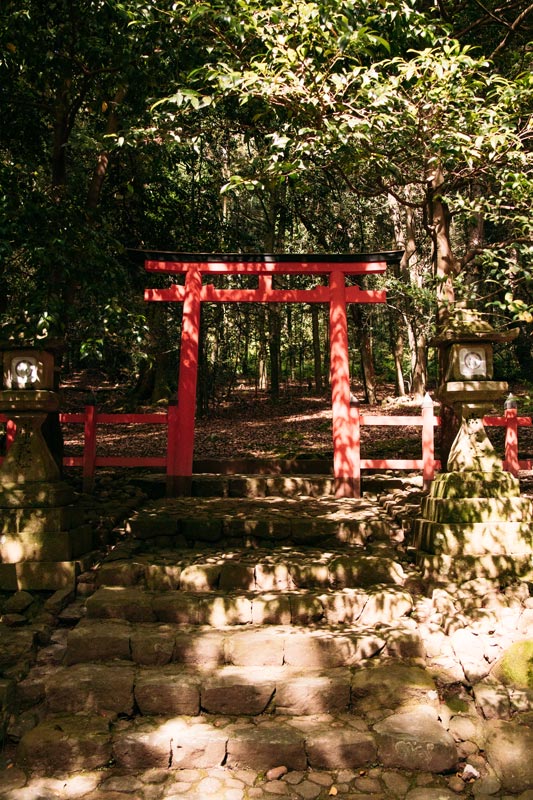 Tor-im-Nara-Park
