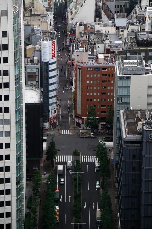 Blick-auf-die-Straßen-Tokios