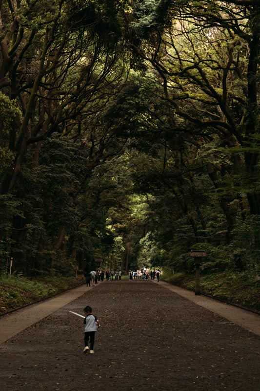 Weg-zum-Meiji-Schrein
