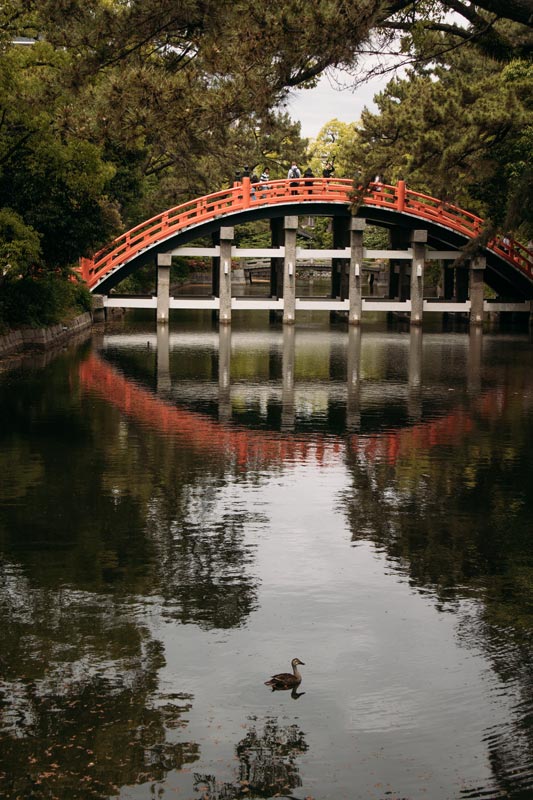 Wunderschöne-Brücke-im-Sumiyoshi-Taisha