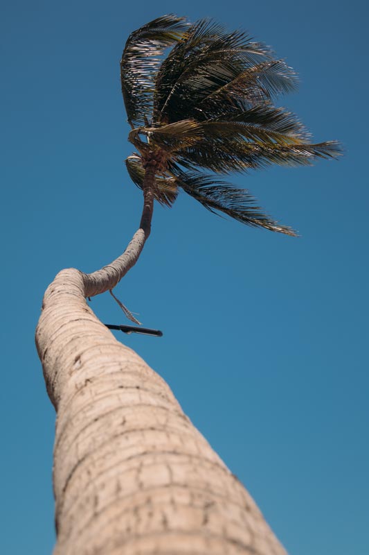 Mui-Ne-hat-paradiesische-Palmen