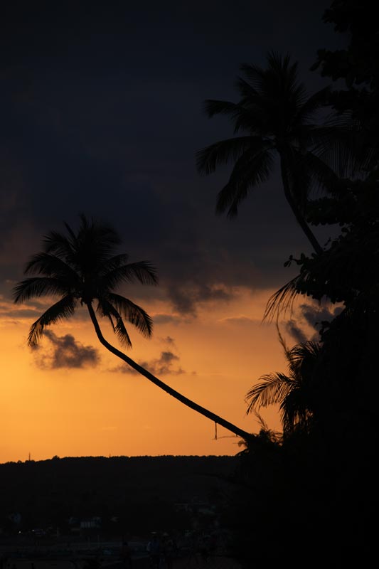 Sonnenuntergang-und-Palmen-in-Mui-Ne