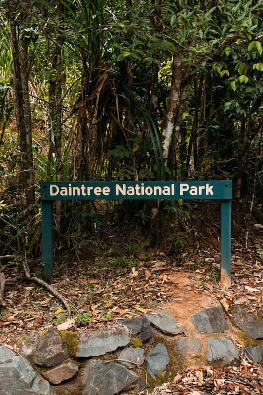 Ankunft-im-Daintree-National-Park