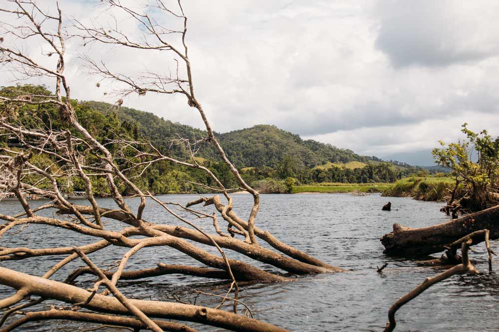 Bootstour-auf-dem-Daintree-River