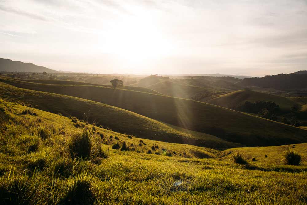 Die-Atherton-Tableland-bei-Cairns
