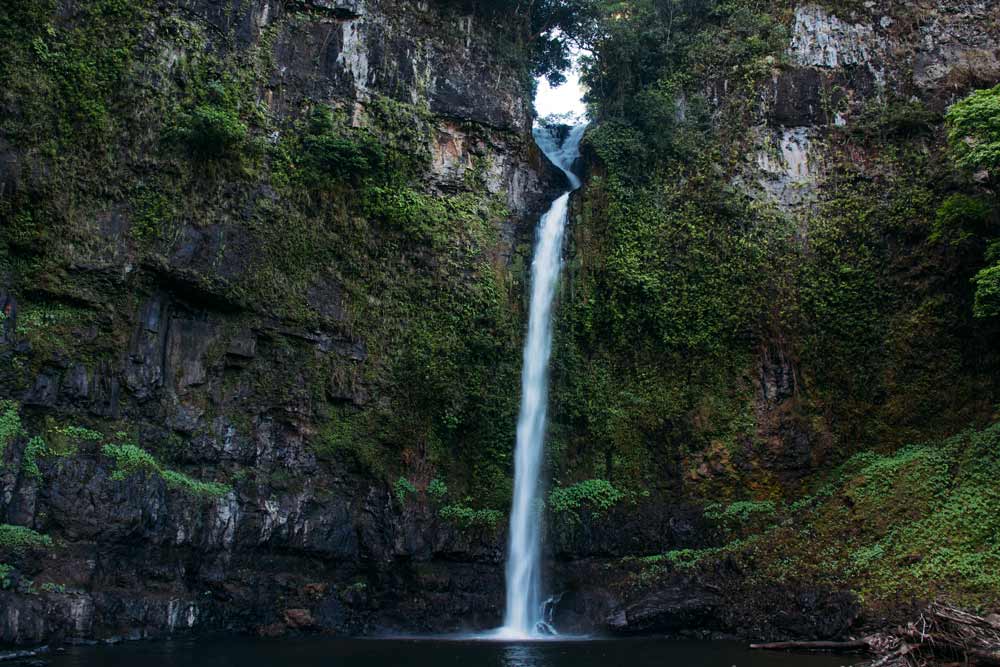 Die-Nandroya-Falls-bei-Cairns