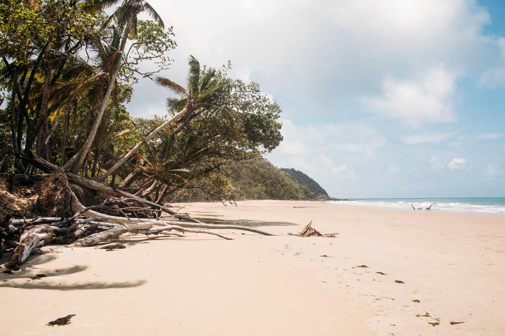 Strand-im-Daintree-Nationalpark