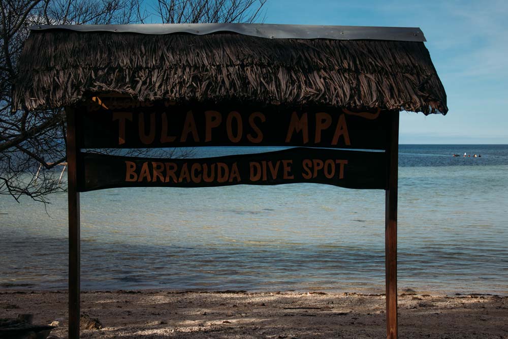 Schnorcheln-mit-Barrakudas-auf-Siquijor