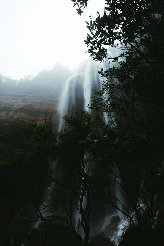 Am-Fuße-der-Wentworth-Falls-in-den-Blue-Mountains
