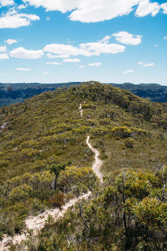 Der-Fortress-Ridge-Trail