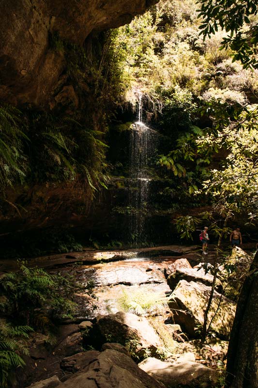 Der-Grand-Canyon-Trail-in-den-Blue-Mountains