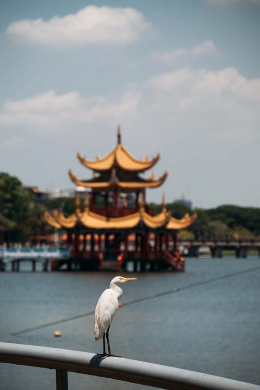 Lotusteich-in-Kaohsiung