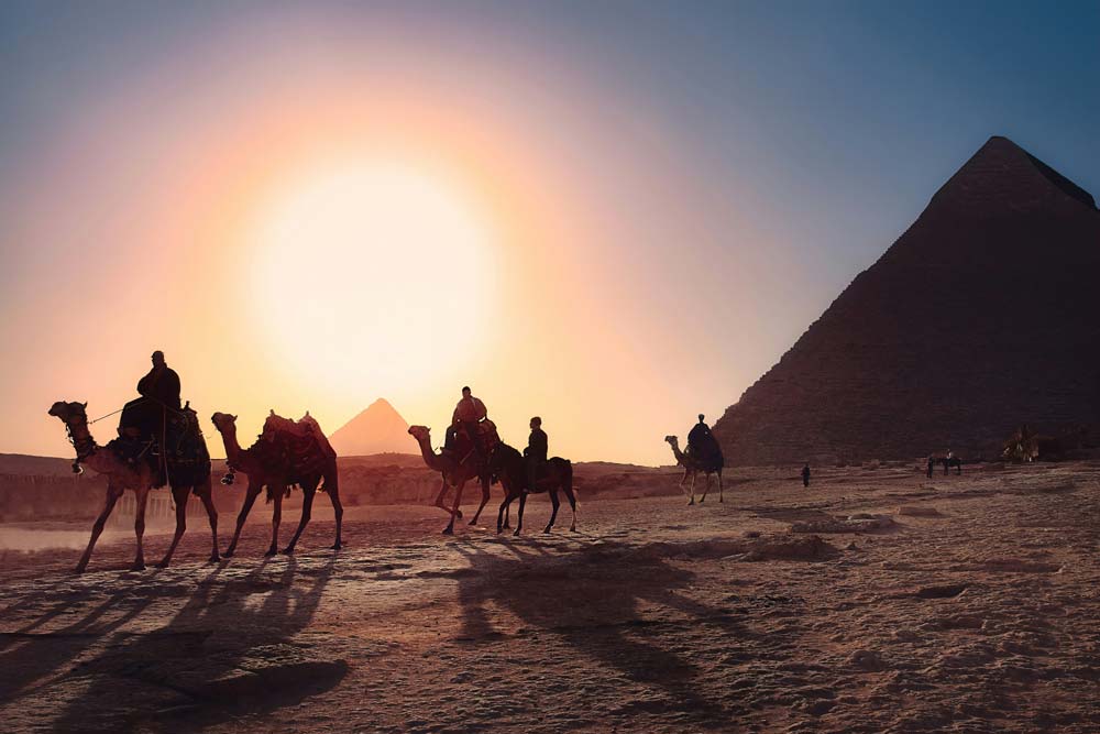 Kamele-vor-den-Pyramiden-in-Ägypten