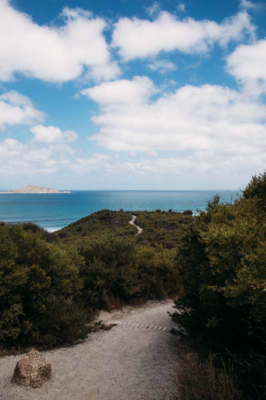 Weg-zum-Strand-auf-Wilsons-Promontory